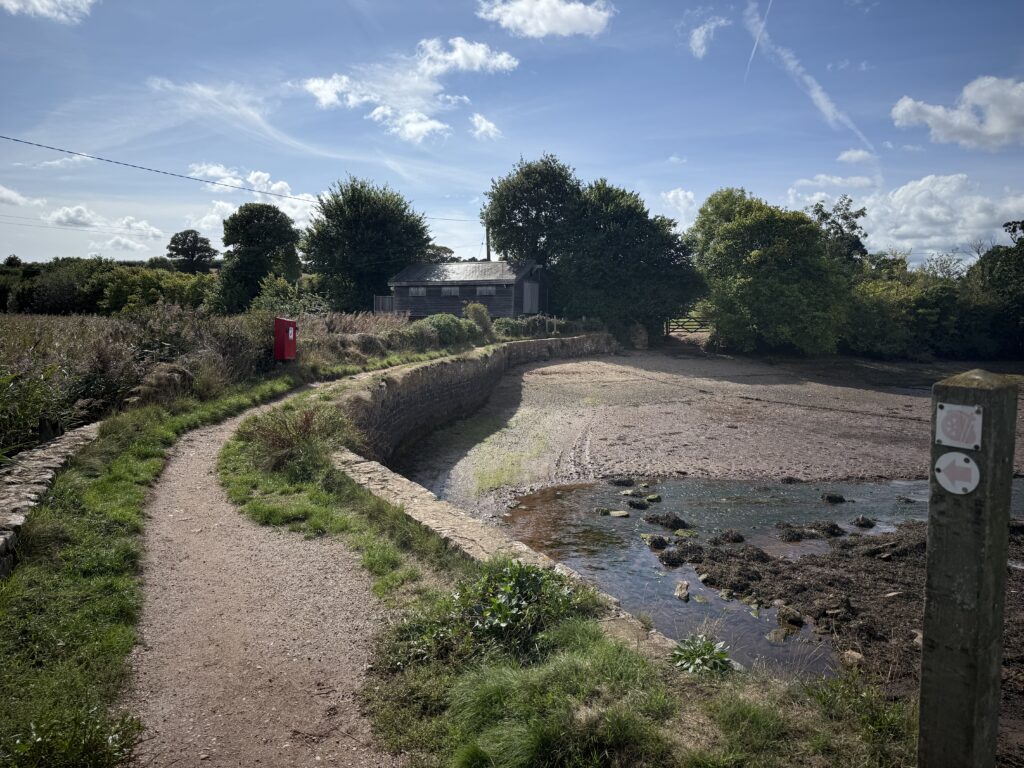 Best Beaches In Shaldon &Amp; Teignmouth 1 Img 5114